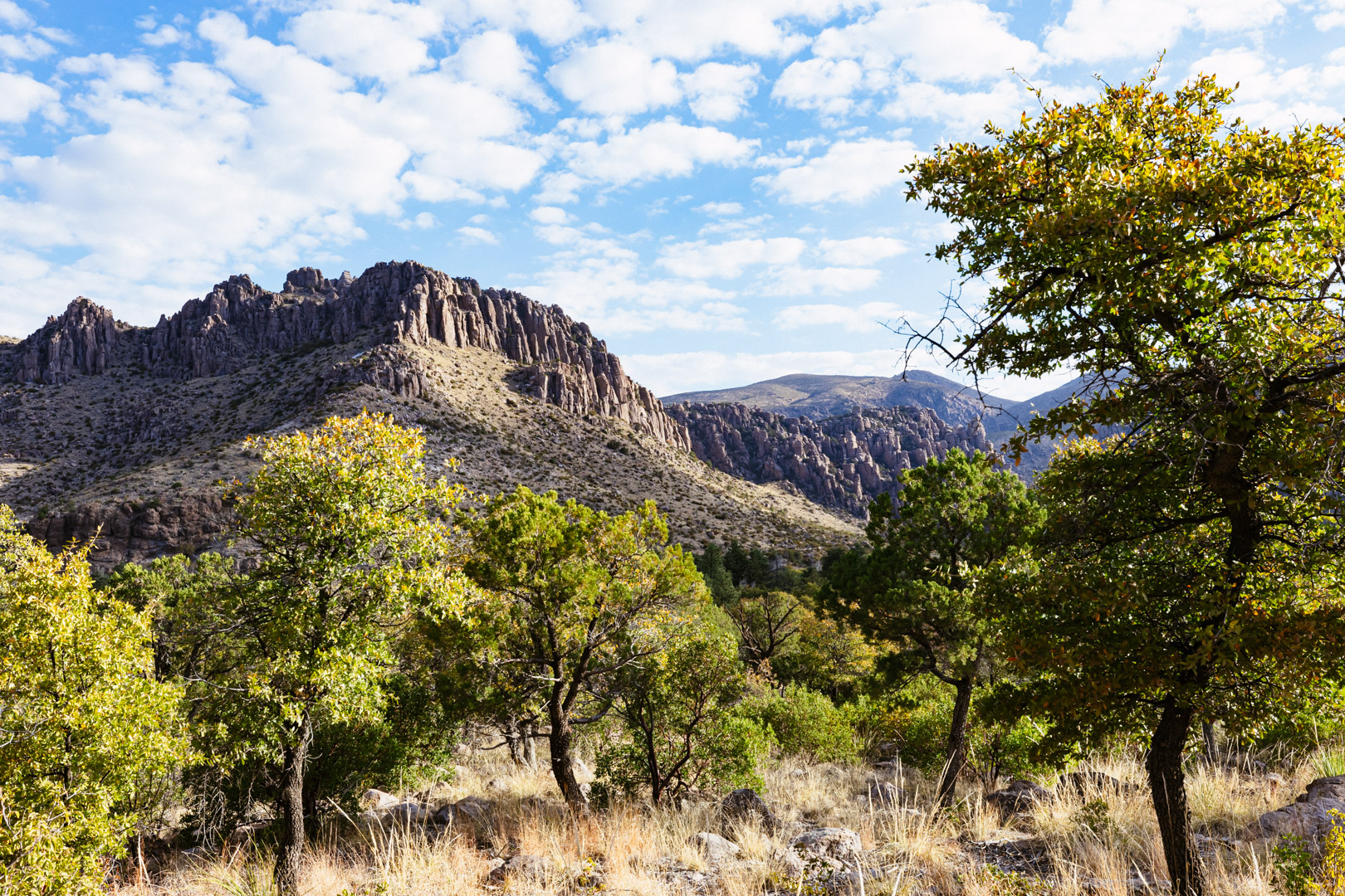 stefanie spencer topaz photography 6855