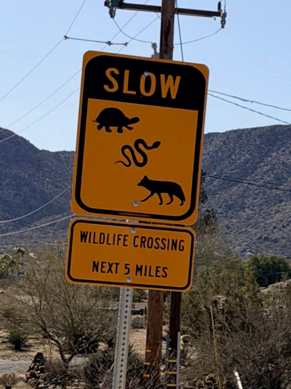weekend getaways joshua tree national park recap slow