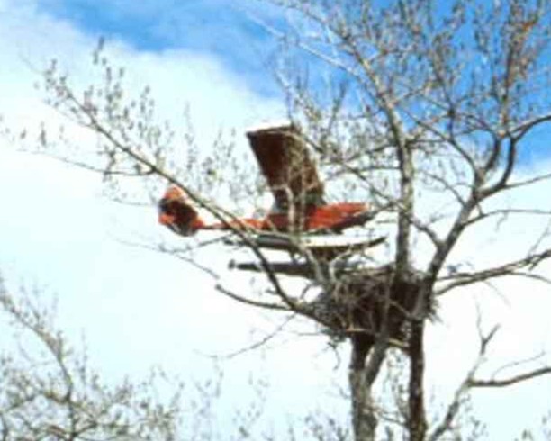 april 2026 executive director report plane 3
