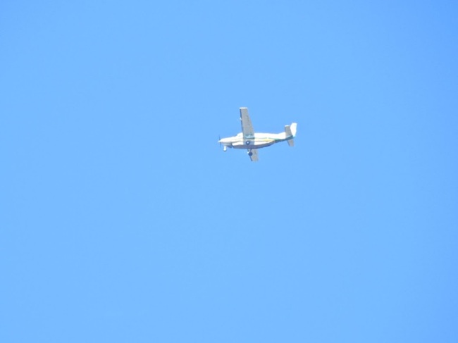 president report september 2026 plane 2