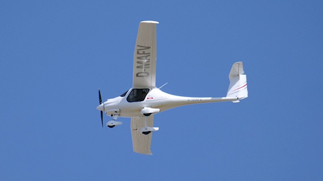 in the heat of the day pipistrel virus
