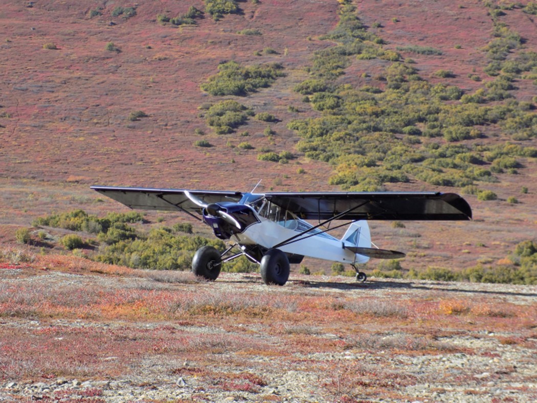 lets talk to flight service plane 4