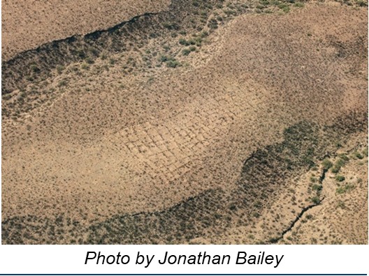lighthawk conservation flying arizona project update jonathan bailey