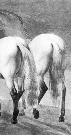 gaarms 2021 october ntsb space shuttle railroad tunnel two horses