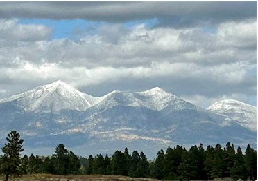 gaarms how could this happen flagstaff