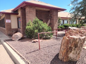 2024 holbrook petrified log