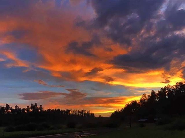 sprucedale alpine mountain sunset