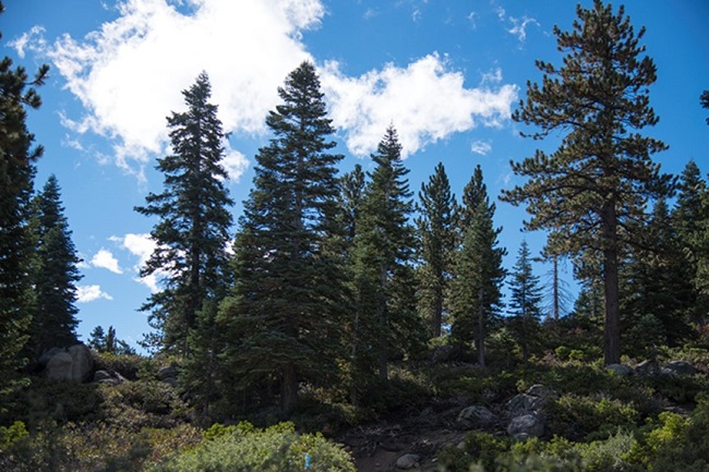 day trip activities big bear