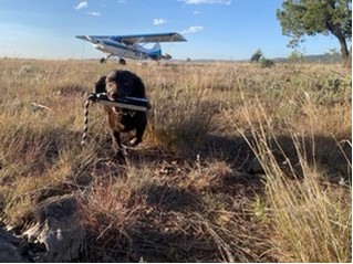 pleasant valley fly in 2023 plane 2