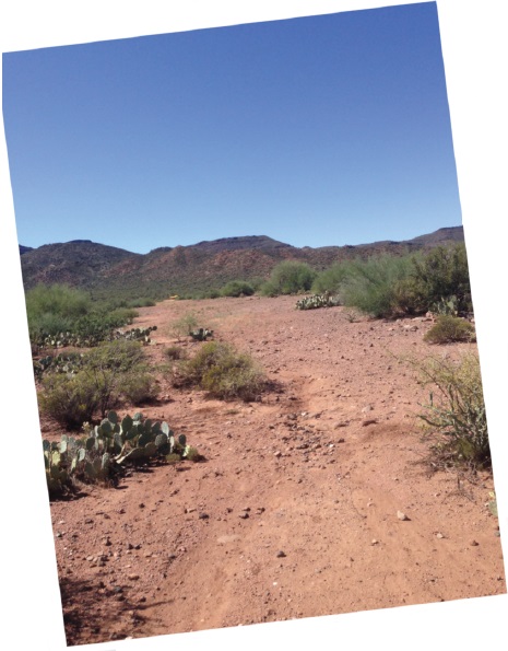 back-to-basics 2016 03 2