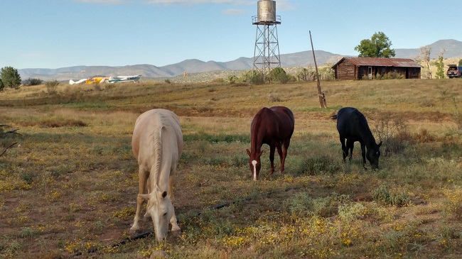 backcountry 2017 01 3