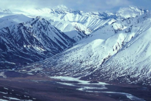 2019 3 executive director report winter