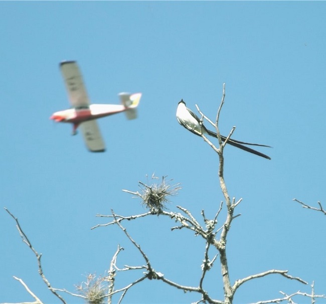 2020 november executive director report 6