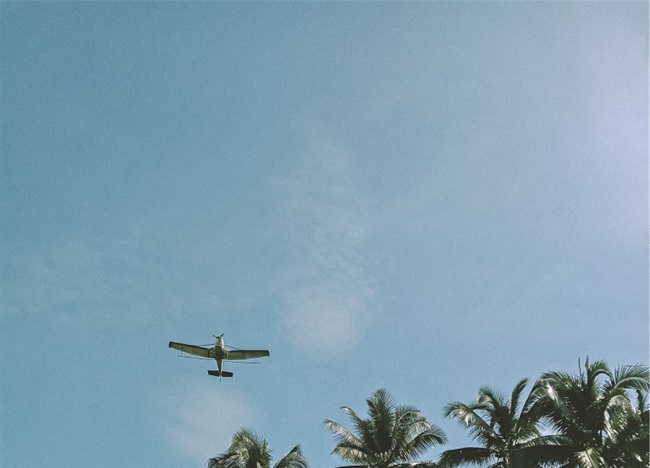 2022 06 executive director report plane4