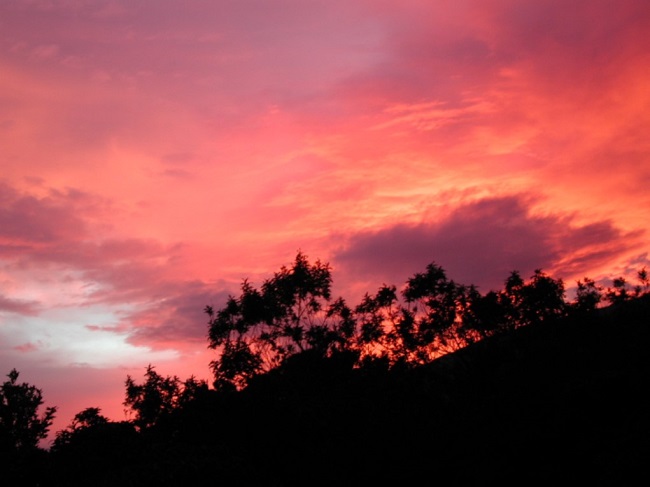 executive director october 2018 red morning sky