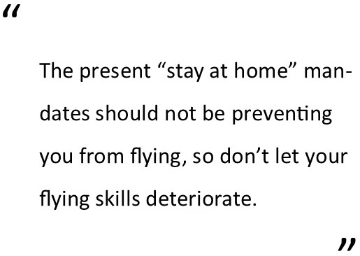 executive director report 2020 july flying skills