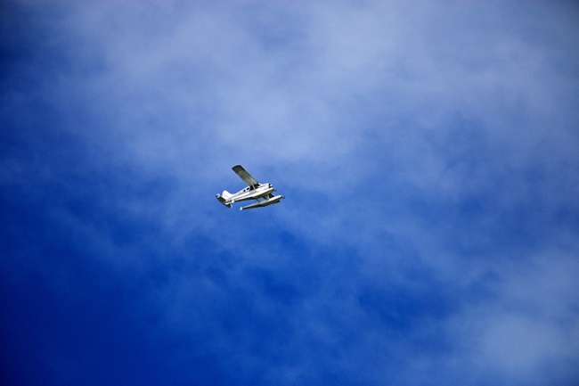what did you say plane 3